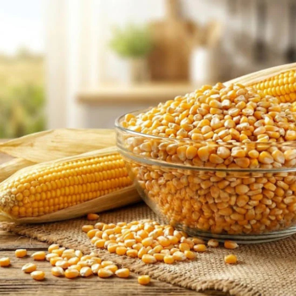 MAIZE